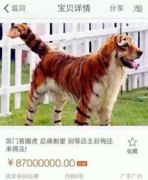 鱼岛三虎二狗爆料视频,揭秘幕后真相与惊人内幕